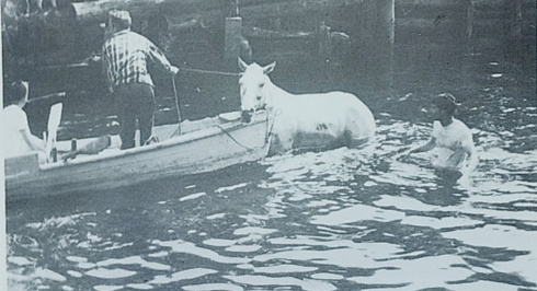 A man in waist deep water helping men direct a white house away from the ship.